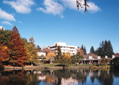 ��������ѧ